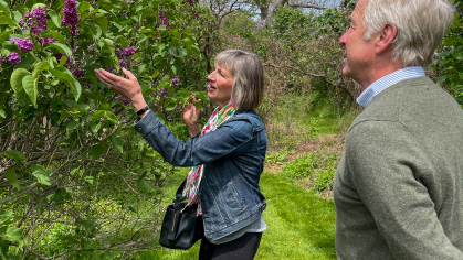 Two people examine lilacs.