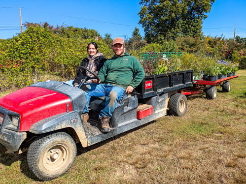 Staff drive plants on a cart