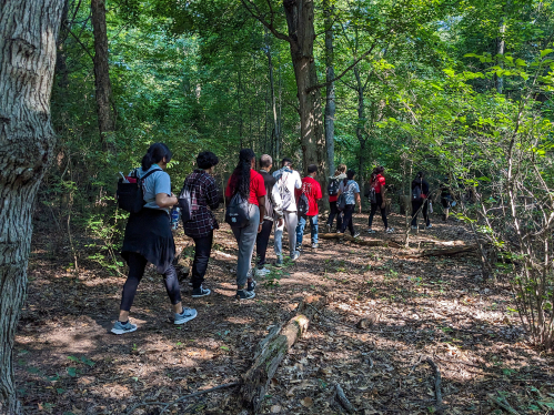 A group of people walking through Helyar Woods.