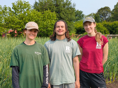 Three farm students stand in the field