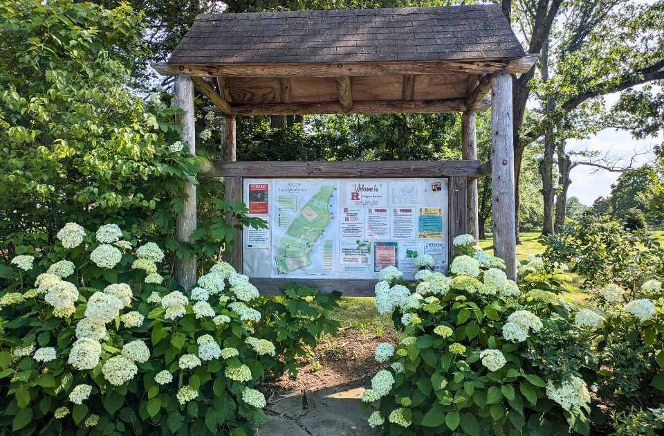 Garden Collections
