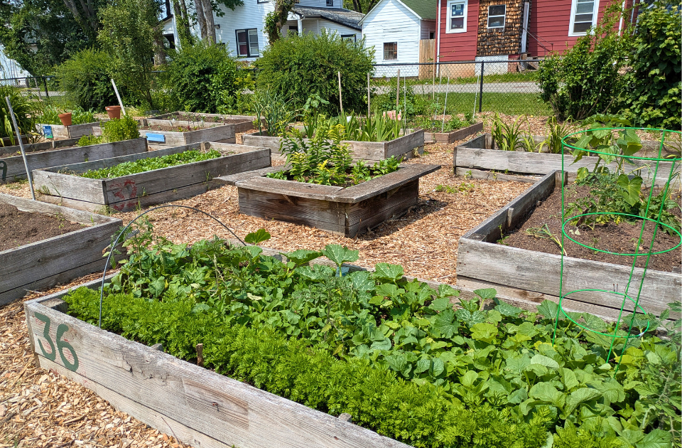 Urban Agriculture Program