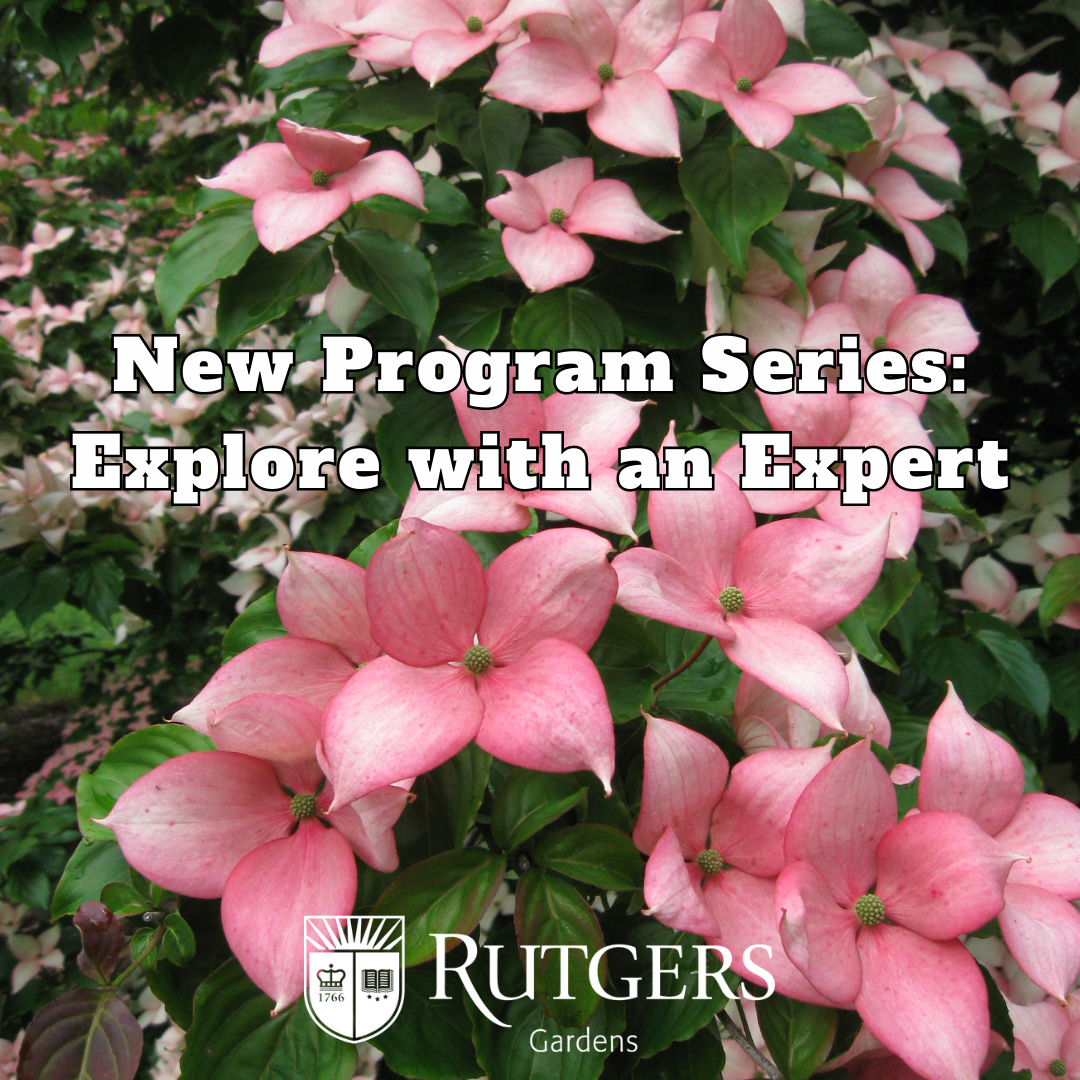 New Programming at Rutgers Gardens