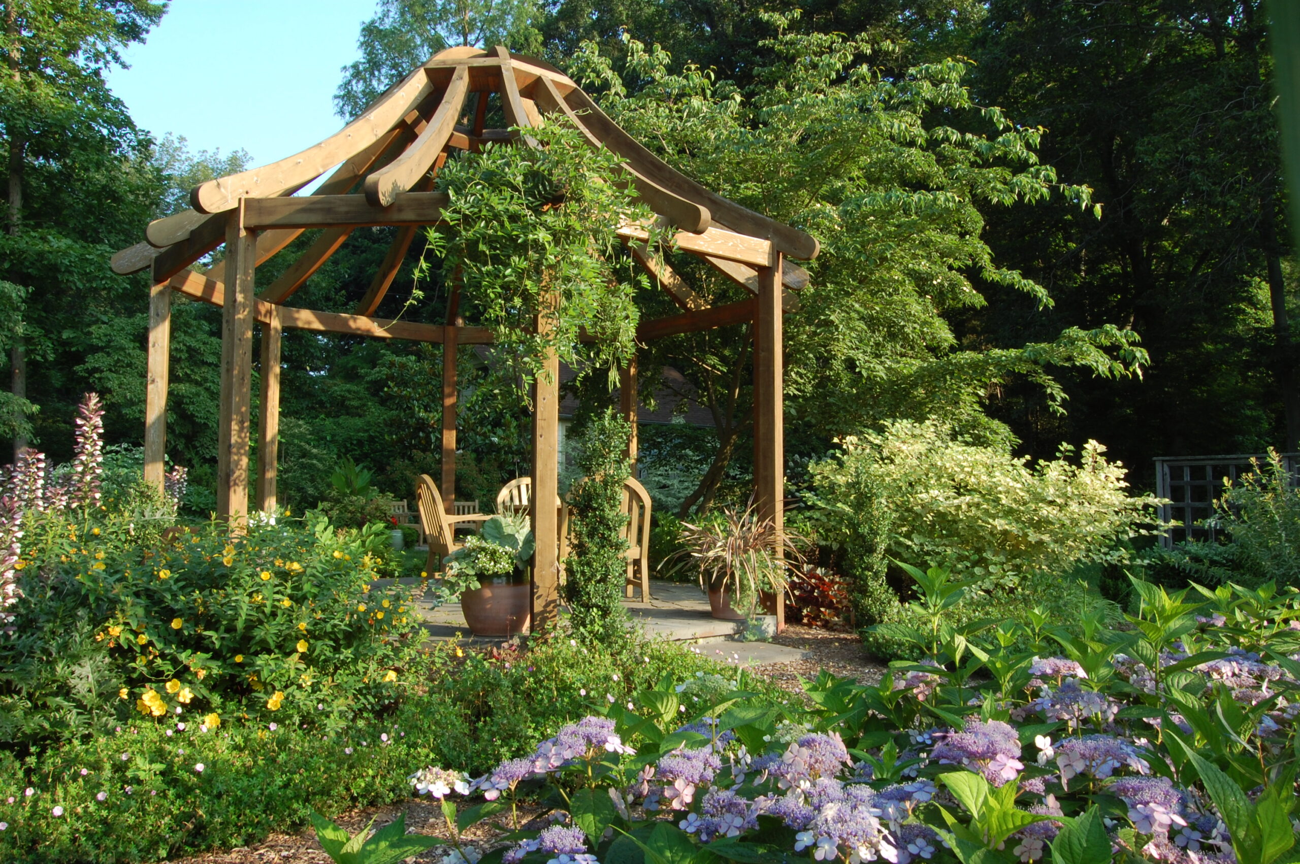 gazebo in garden with purple and yellow flowers