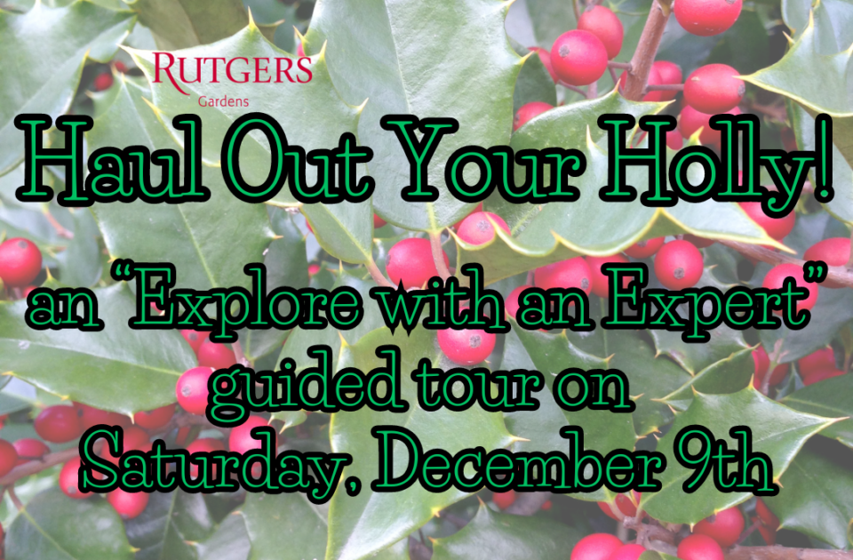 an “Explore with an Expert” guided tour on Saturday, December 9th