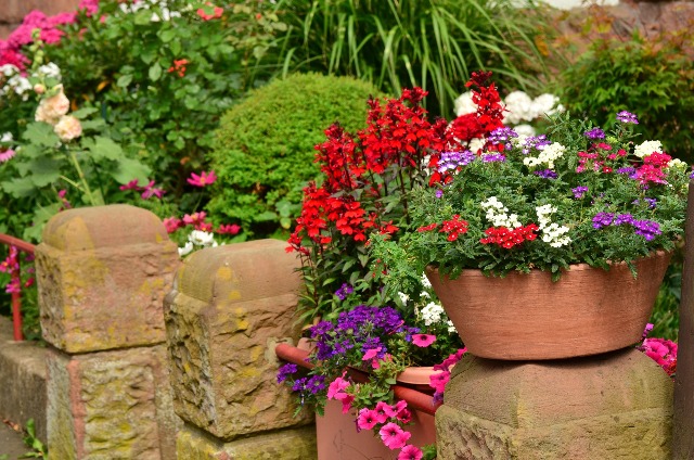 red, white, adn purple flowers in planter on stone wall