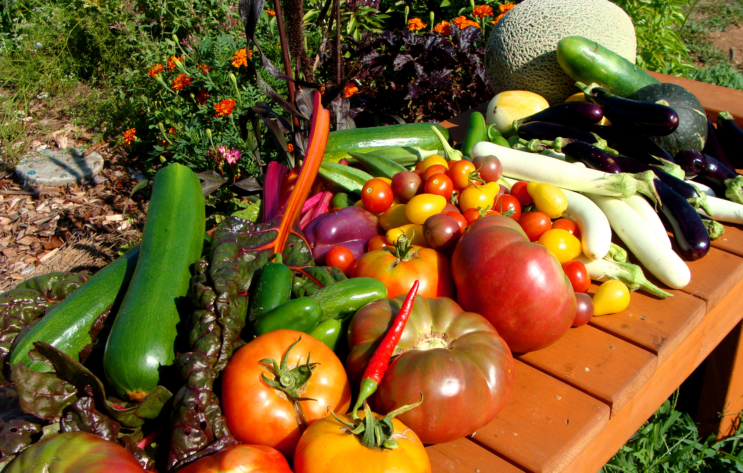 colorful assortment of vegetables