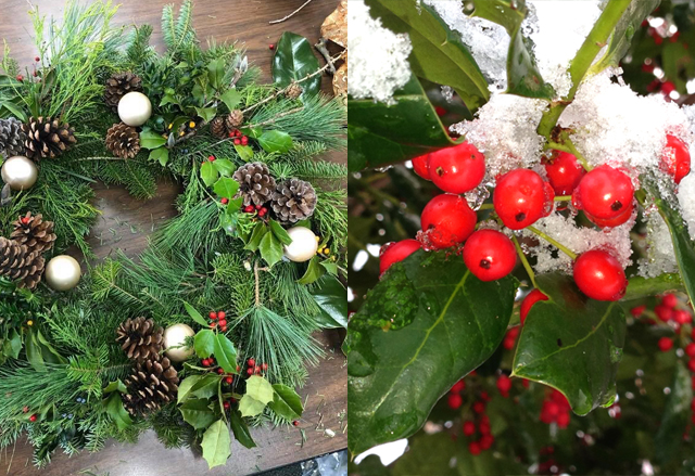 wreath decorated with pinecones and a sprig of holly with snow