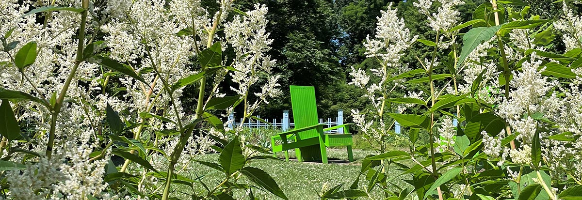 Big adirondack chair at Gardens