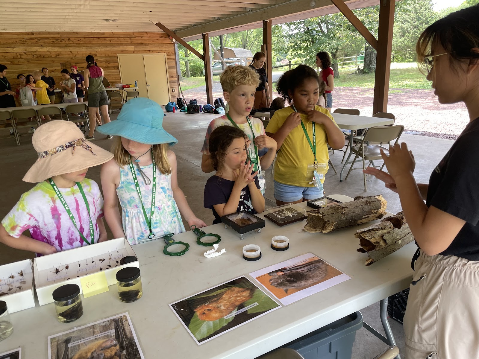 4-H Camp at Rutgers Gardens provides hands-on learning to youth ages 6-14.