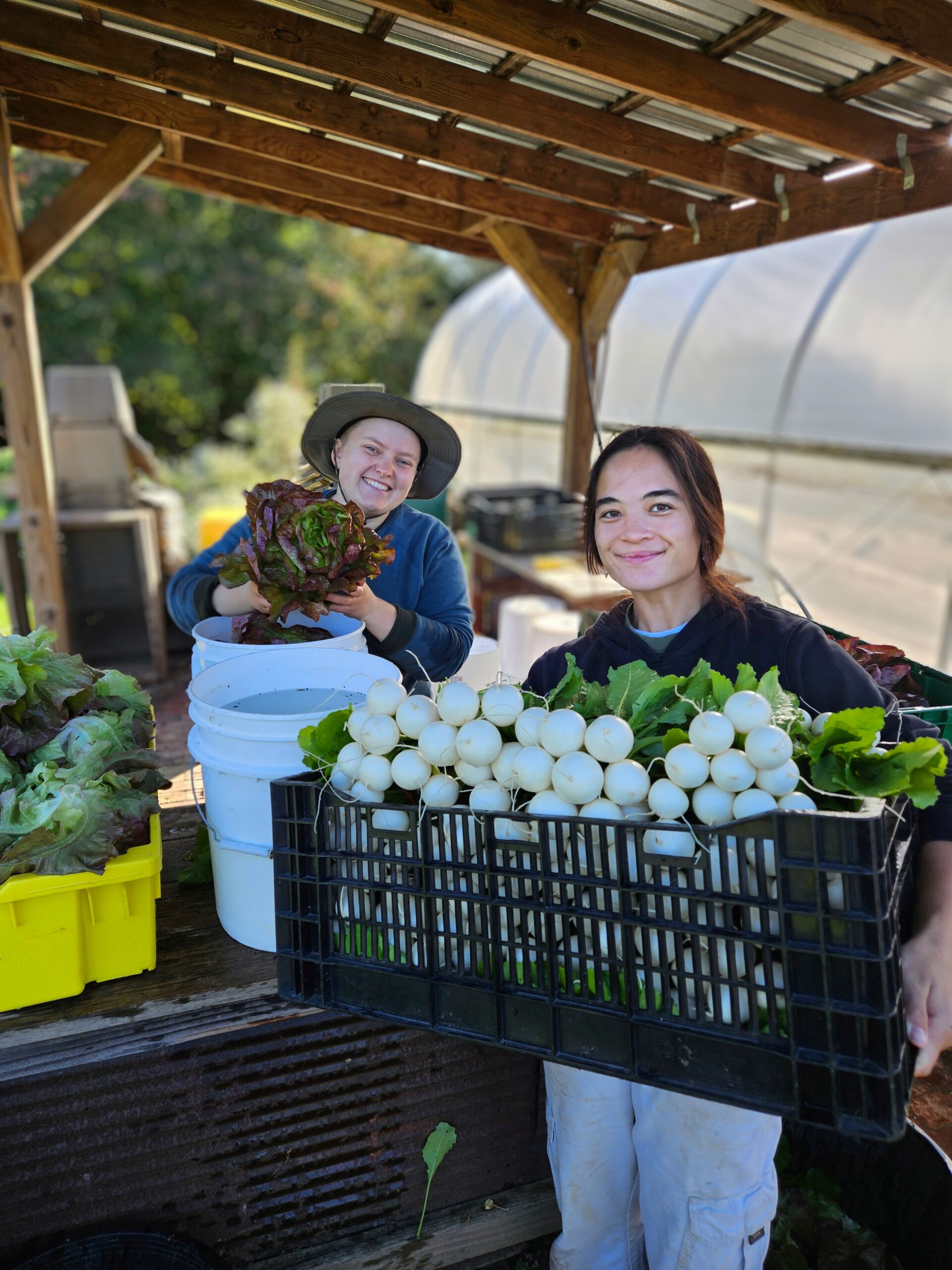 Rutgers Gardens Student Farm staff prepares fresh produce to sell at Cook's Market.