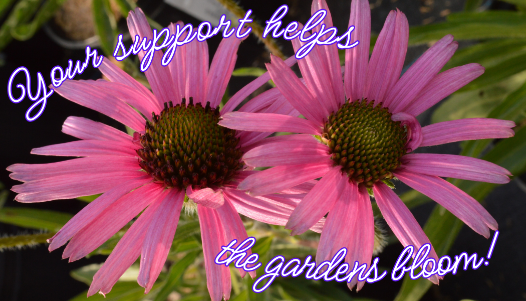Your support helps the gardens bloom!