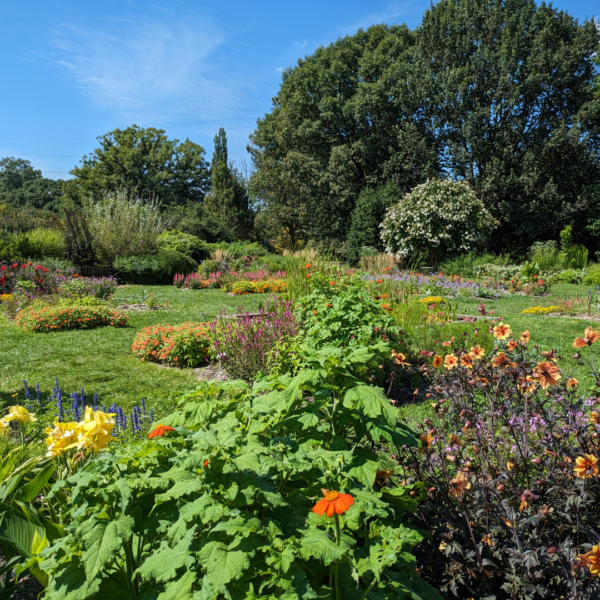 Explore with an Expert – Rutgers Gardens