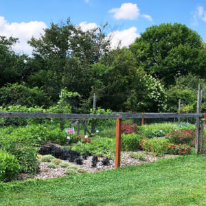 All-America Selections (AAS) is an independent agency that has been testing seed-grown plants for superiority since 1932. This garden area features a collection of annuals, vegetables, and even a few perennials—all grown from seed—that have been rigorously tested and released by the AAS as the best in their categories. Whether its merits are early bloom or harvest, disease or pest tolerance, novel colors or forms, yield, or overall great performance, the AAS Winner label is like a stamp of approval. flower and vegetable garden enclosed in fence
