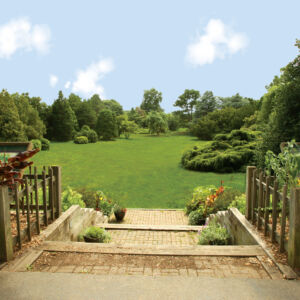 Roy DeBoer, former Chairman of the Landscape Architecture Department, designed this area in 1958. The plants are grouped by genus, featuring wonderful examples of Weeping White Pine, Sargent's Weeping Hemlock, and a host of Cedars, Pines, Spruces and Firs. The great lawn is a popular site for wedding ceremonies and events hosted by Rutgers Gardens, as well as the location of our centennial bench.<br/><br/><a href="/gardens/roy-deboer-evergreen-garden/">Roy H. DeBoer Evergreen Garden</a> large lawn surrounded by evergreen trees