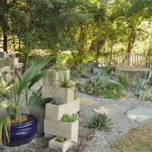 The succulent garden may be small in size, but it is rich in character! While it includes hardy Eastern Prickly Pear (<i>Opuntia humifusa</i>) and a creeping stonecrop called <i>Sedum sexangulare</i>, most of the tender display is installed each spring, but overwintered in our greenhouses. During the growing season, you’ll find many interesting varieties of <i>Aeonium</i>, <i>Agave</i>, <i>Aloe</i>, <i>Crassula</i>, <i>Echevaria</i>, <i>Euphorbia</i>, <i>Haworthia</i>, <i>Kalanchoe</i>, <i>Sansevieria</i> and more, arranged in different unique configurations and containers each year. succulents planted in garden with cement block structures