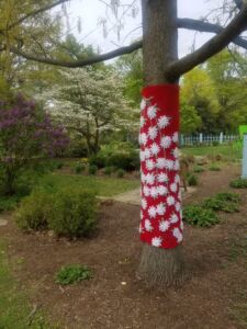A cascade of beautiful blossoms on a red background decorate the Sawtooth Oak near the Otkens Garden. tree trunk covered by red crocheted fabric with white flowers