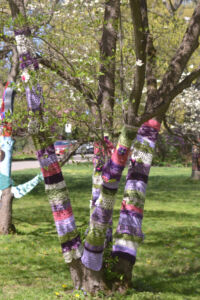This dogwood is wrapped up in stripes of purple, pink, and green—a perfect compliment to it's own flowers! dogwood tree with multiple trunks covered with purple and green striped crochet