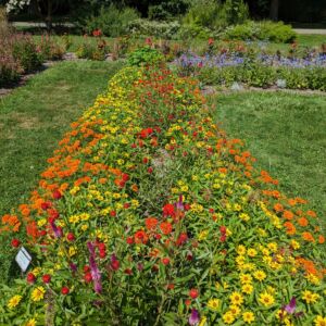 Public and Display Gardens