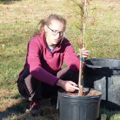 Explore with an Expert Explore with an Expert